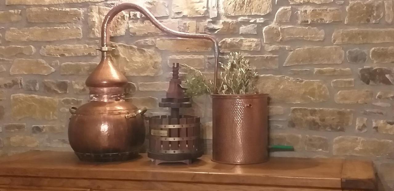 Preciosas Vistas A La Montana, Luminoso Y Acogedor Διαμέρισμα El Pueyo de Araguás Εξωτερικό φωτογραφία