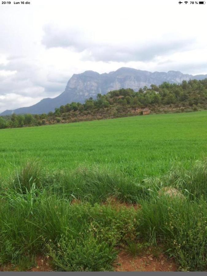 Preciosas Vistas A La Montana, Luminoso Y Acogedor Διαμέρισμα El Pueyo de Araguás Εξωτερικό φωτογραφία