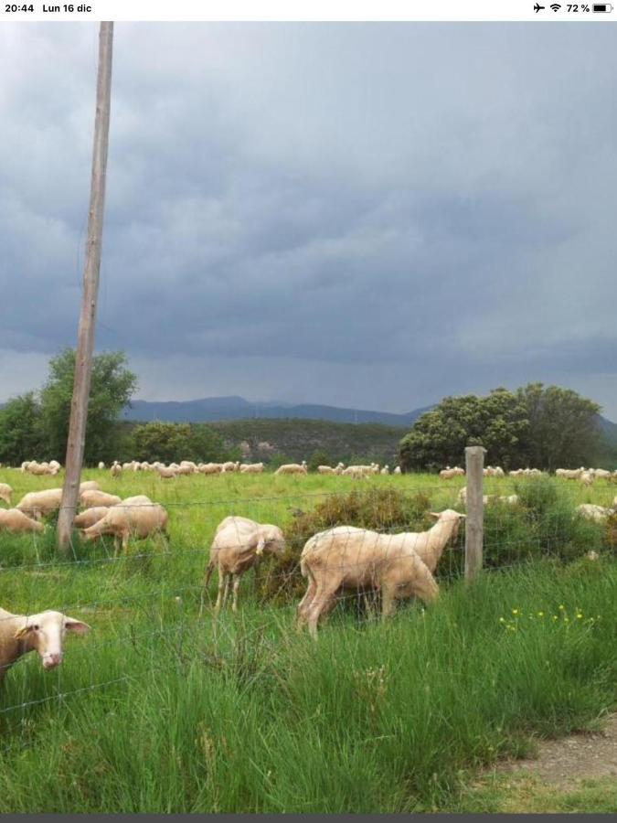 Preciosas Vistas A La Montana, Luminoso Y Acogedor Διαμέρισμα El Pueyo de Araguás Εξωτερικό φωτογραφία